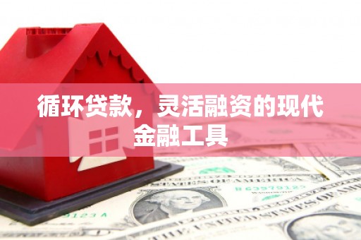 平安循环贷款，灵活融资的现代金融工具