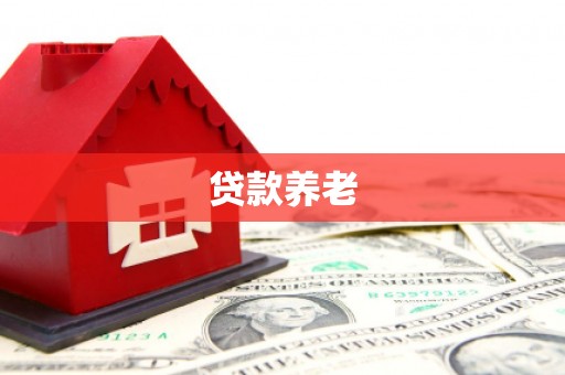 平安贷款养老