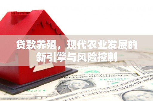 平安贷款养殖，现代农业发展的新引擎与风险控制