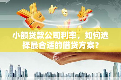 平安小额贷款公司利率，如何选择最合适的借贷方案？