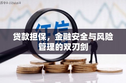 平安贷款担保，金融安全与风险管理的双刃剑