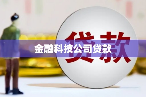 平安金融科技公司贷款