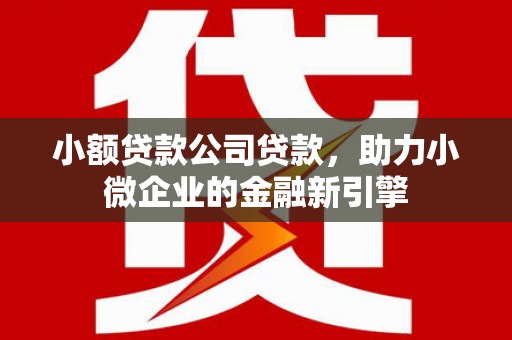 平安小额贷款公司贷款，助力小微企业的金融新引擎