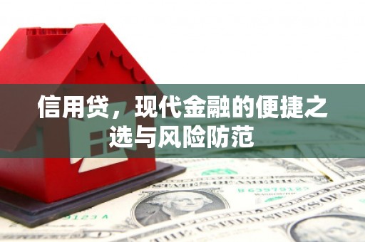 平安信用贷，现代金融的便捷之选与风险防范