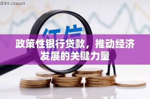 平安政策性银行贷款，推动经济发展的关键力量