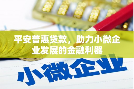 平安普惠贷款，助力小微企业发展的金融利器