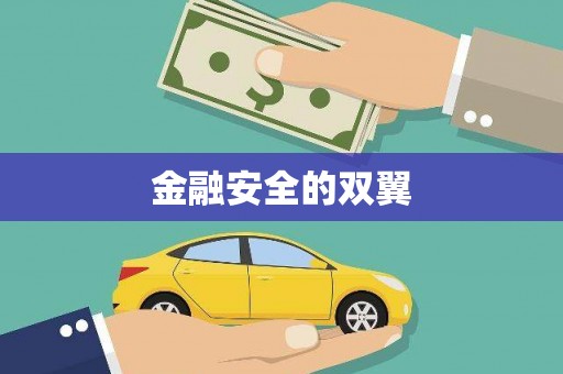 平安金融安全的双翼