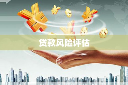 平安贷款风险评估