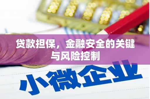 平安贷款担保，金融安全的关键与风险控制