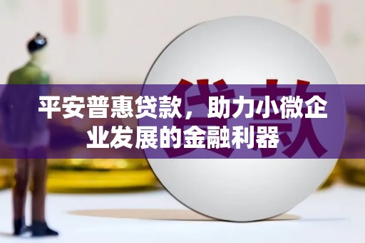 平安普惠贷款，助力小微企业发展的金融利器