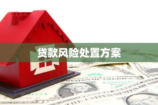 平安贷款风险处置方案