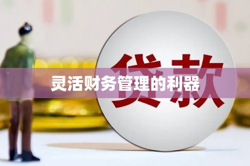 平安灵活财务管理的利器