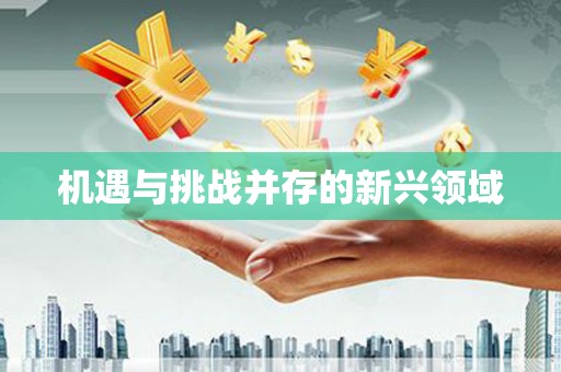 平安机遇与挑战并存的新兴领域