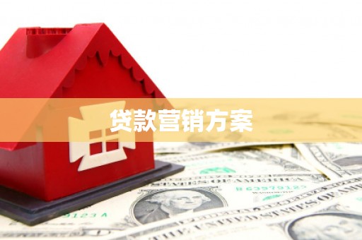 平安贷款营销方案