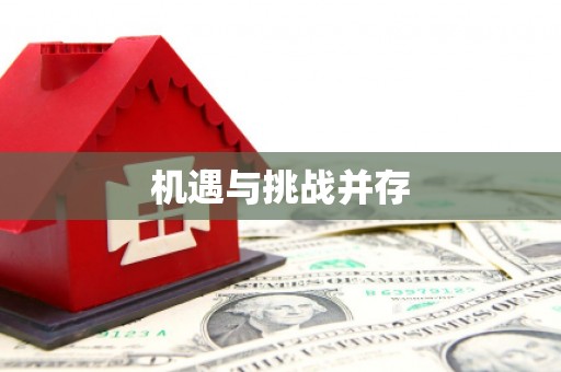 平安机遇与挑战并存