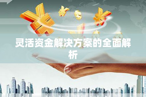 平安灵活资金解决方案的全面解析